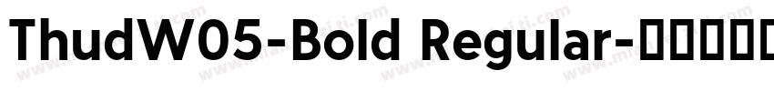 ThudW05-Bold Regular字体转换